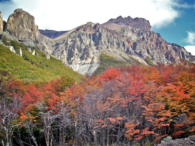 Fall